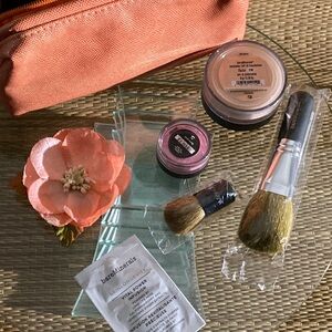 bareMinerals Pink and Tan Makeup Brushes Set